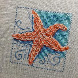 Starfish by Mill Hill