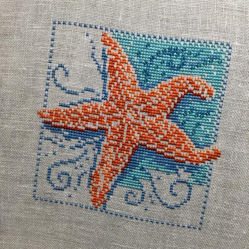 Starfish by Mill Hill